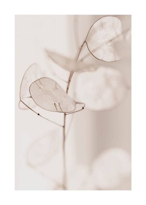Naked Leaves – Blomster og Botanik