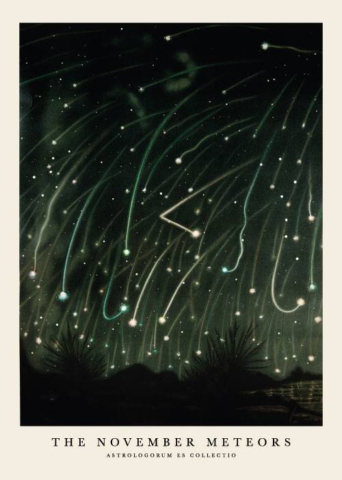 November Meteors – Kunst