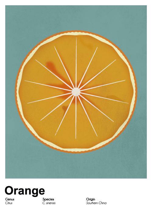 Orange Poster