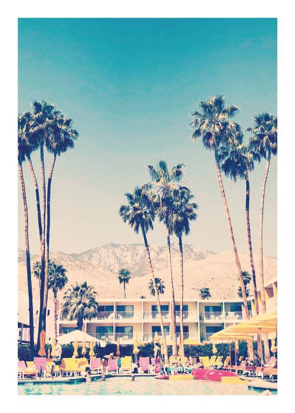 Palm Beach – Naturmotiver