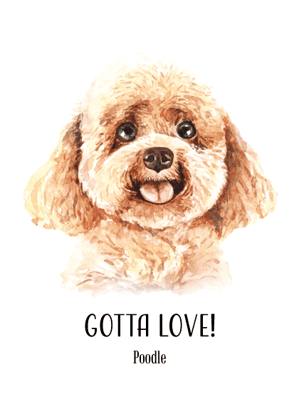 POODLE – Kids' Posters