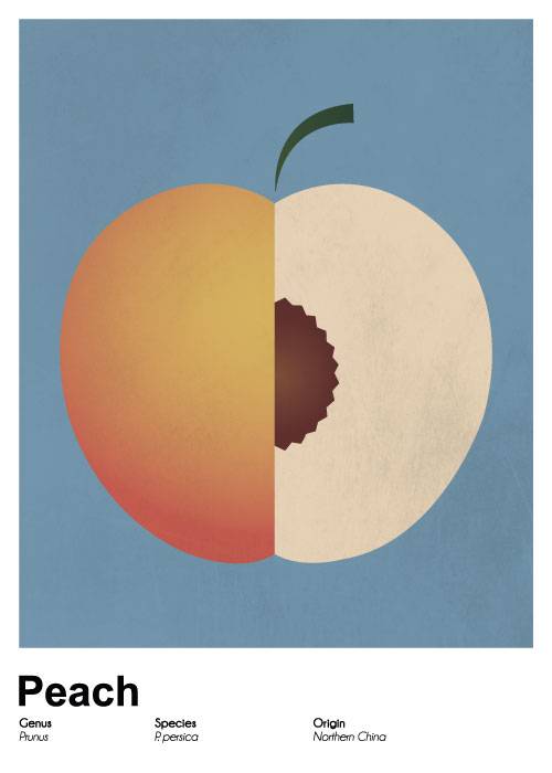 Peach Poster