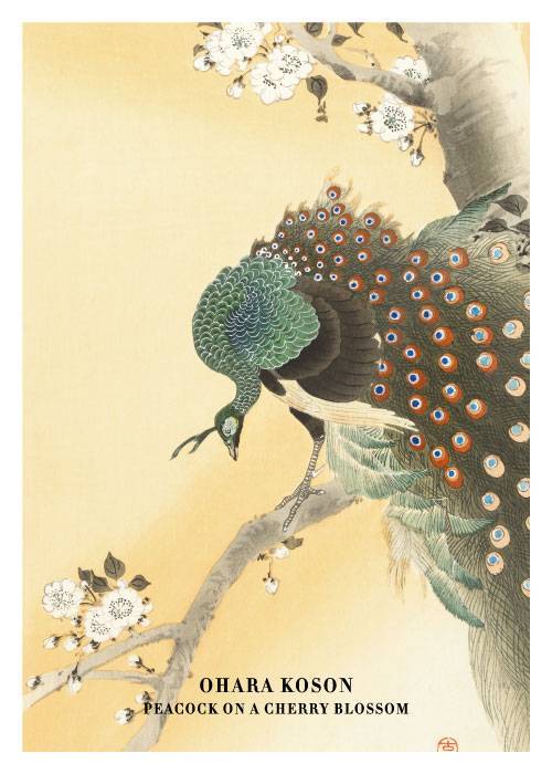 Peacock On A Cherry Blossom – Kunst