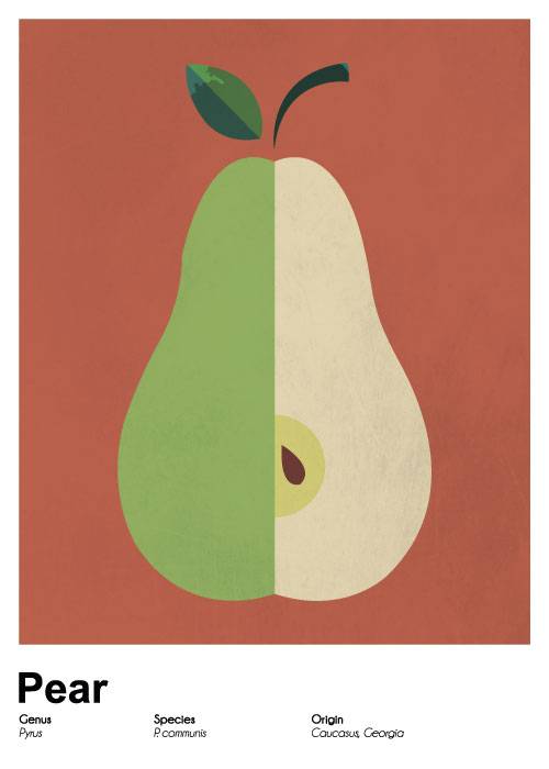 Pear Poster