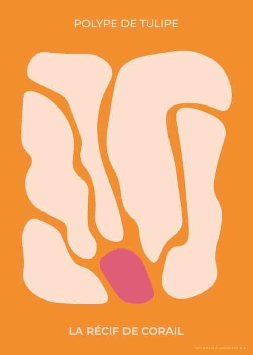 Polype De Tulipe – Grafiske Plakater