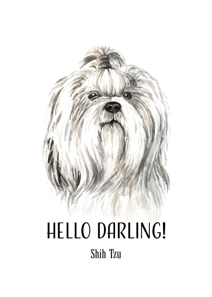 SHIH TZU – Børneplakater