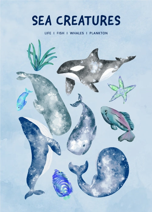 SEA LIFE & CREATURES – Børneplakater