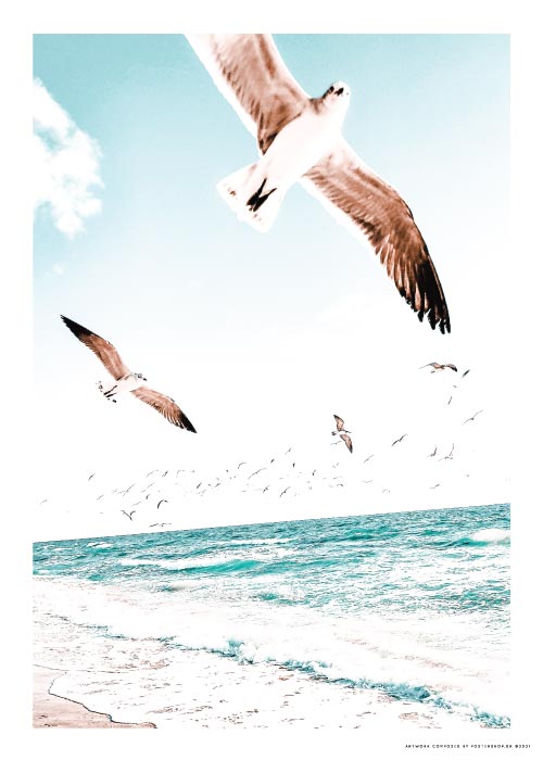 Seagulls At The Beach – Naturmotiver