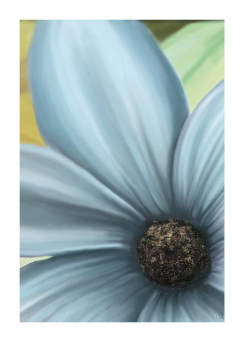 Spring Flower Drawing – Blomster og Botanik