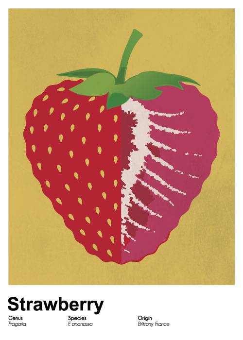Strawberry Poster