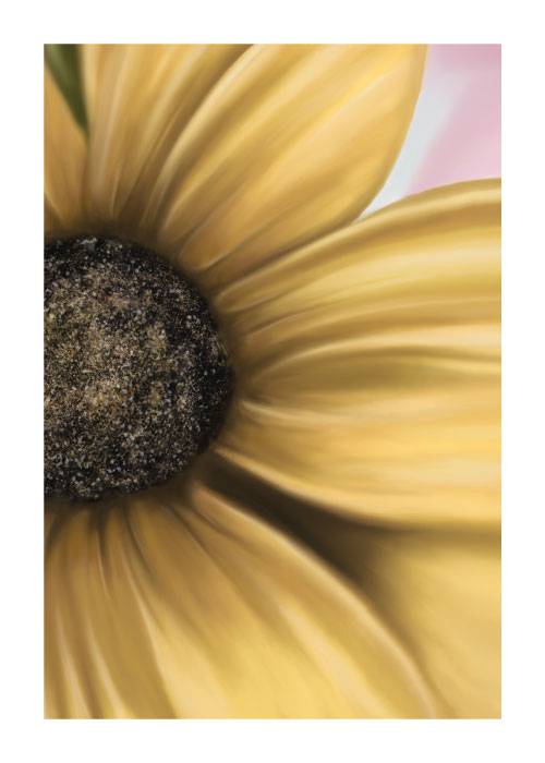 Sunflower Drawing – Blomster og Botanik