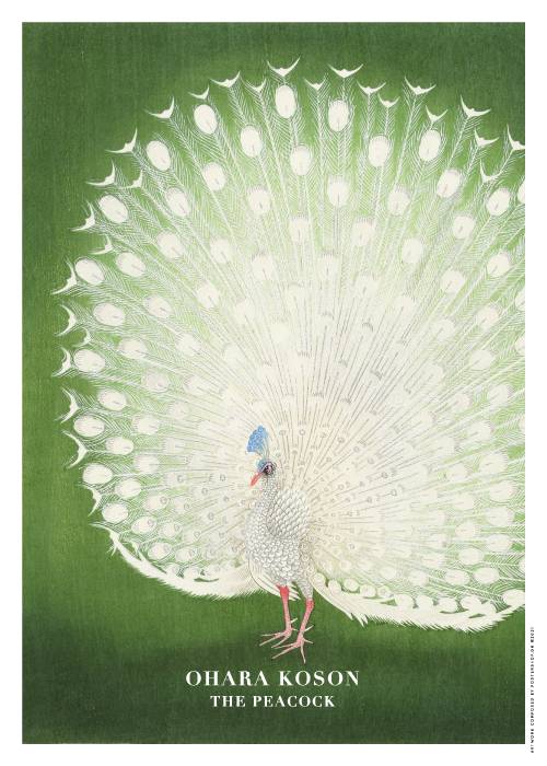 The Green Peacock – Kunst
