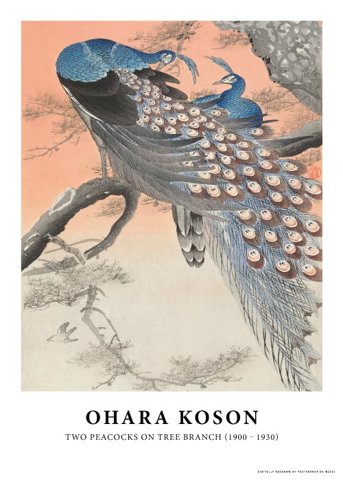 Two Peacocks On Tree Branch – Kunst