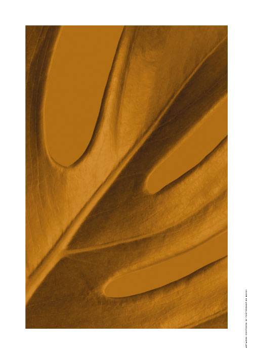 Upclose Leaf – Flowers & Botanicals