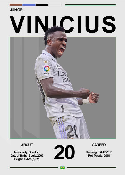Vinicius Júnior Career – Fodbold