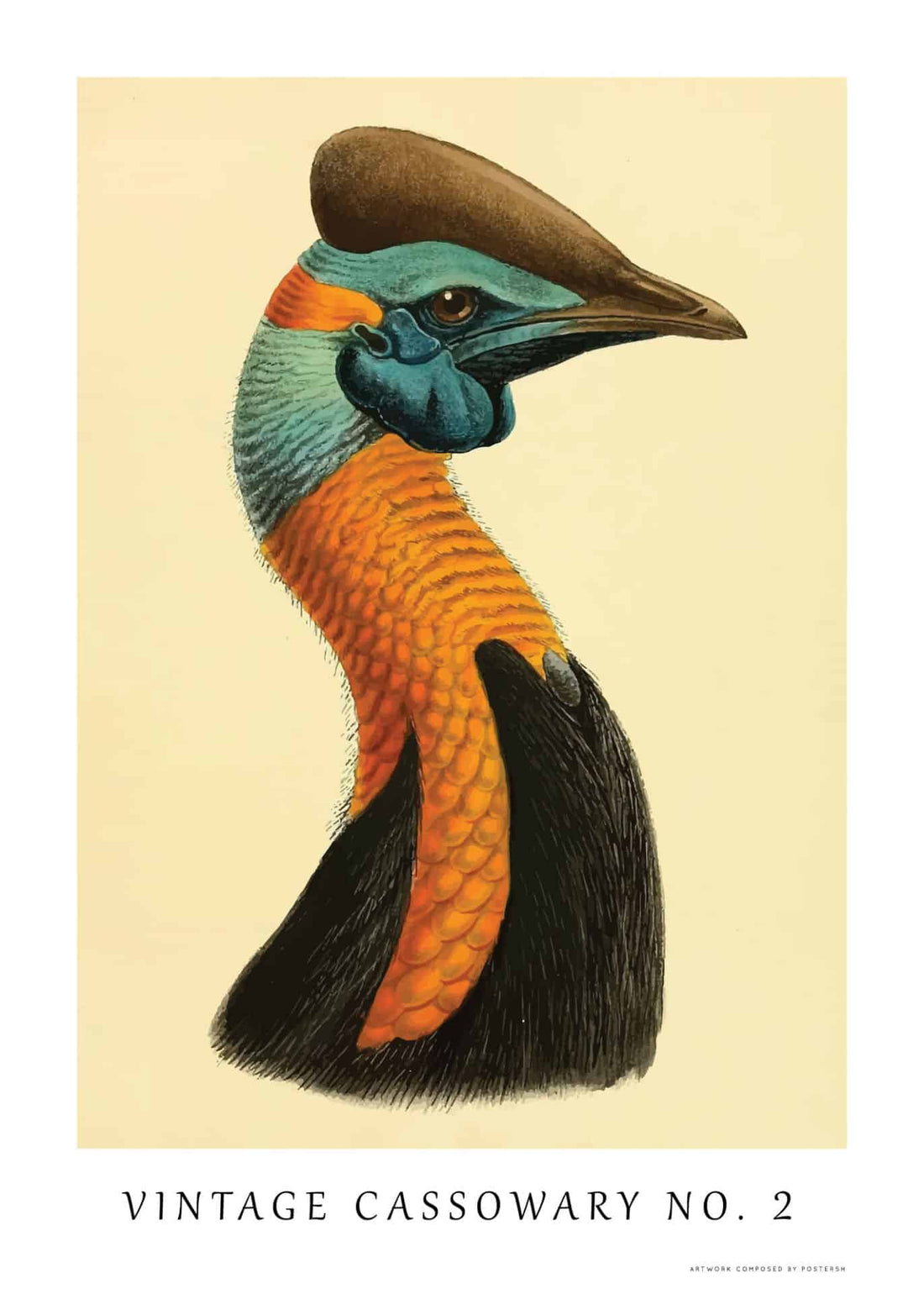 Vintage Cassowary No. 2 – Dyreplakater