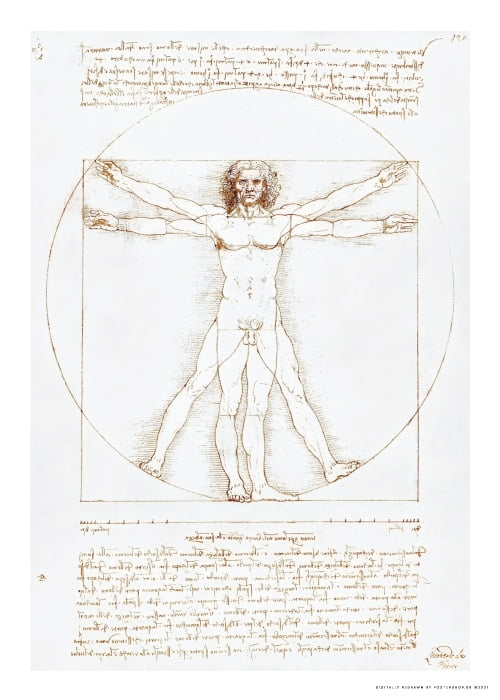 Vitruvian Man 1492 Da Vinci – Kunst