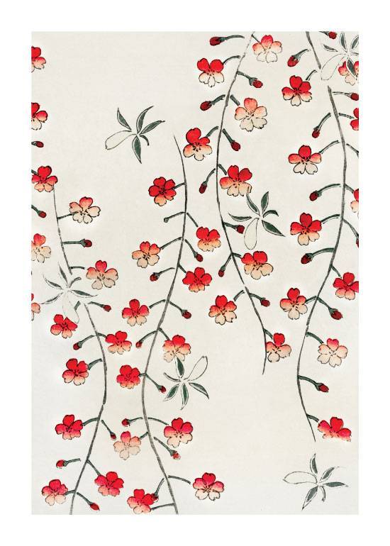 Watanabe Cherry Blossom – Kunst