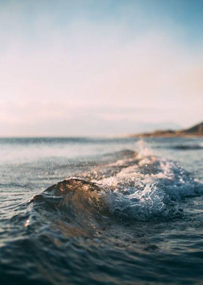 Wave – Nature