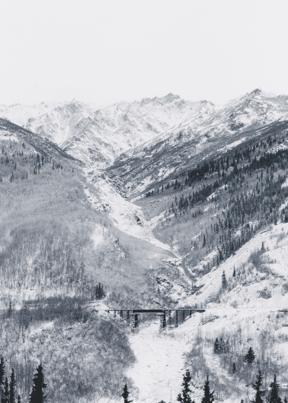 White Winter – Naturmotiver