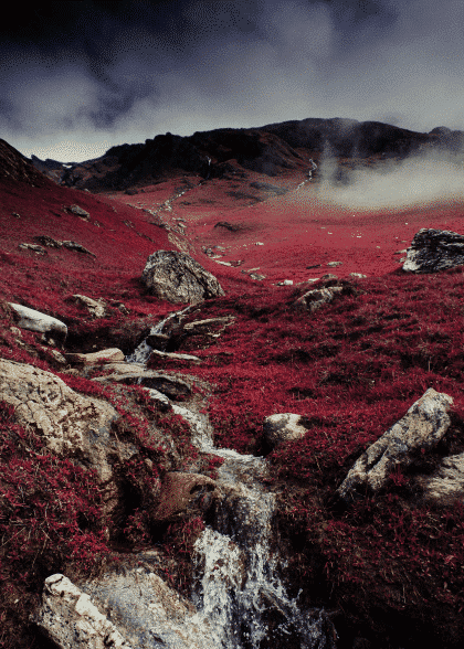 Wonderful – Naturmotiver