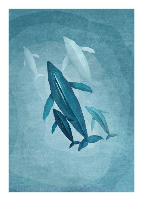 Whales In Blue – Grafiske Plakater