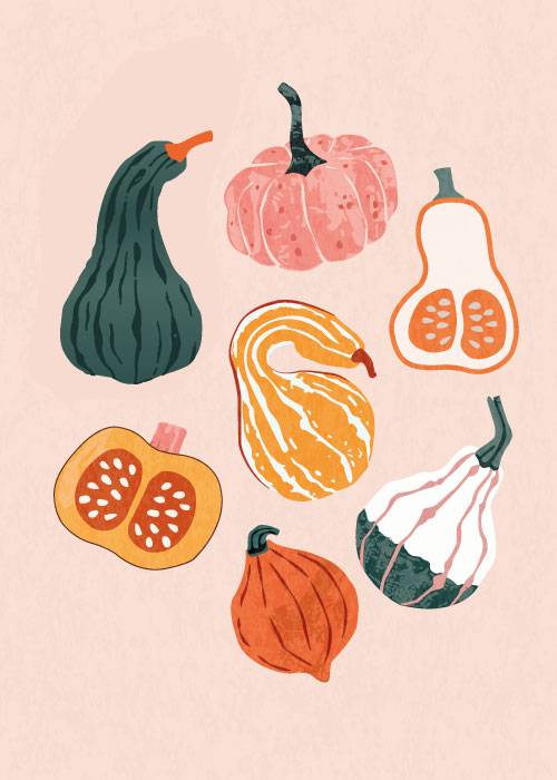 Winter Squash
