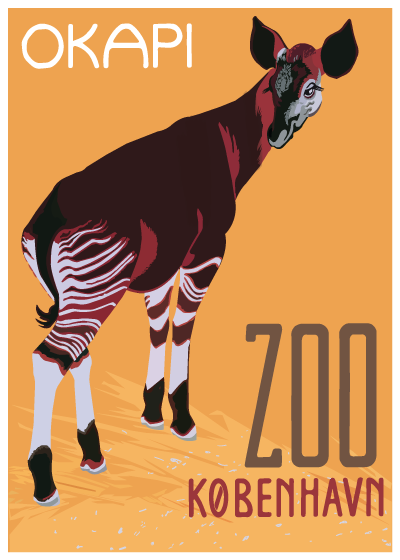 Zoo Okapi