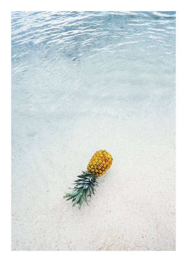 Drunk Ananas – Naturmotiver