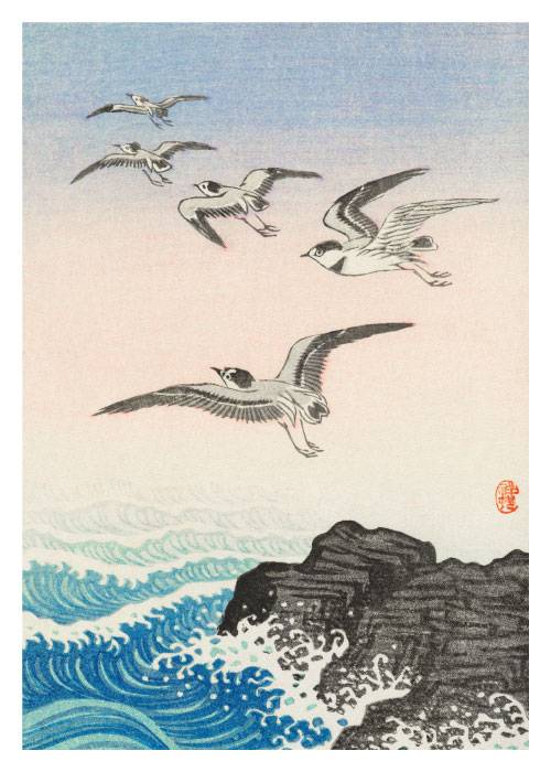 Koson Five Seagulls – Kunst