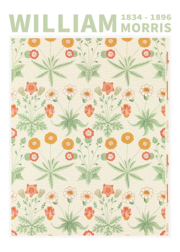 Williams Orange Daisy – Kunst